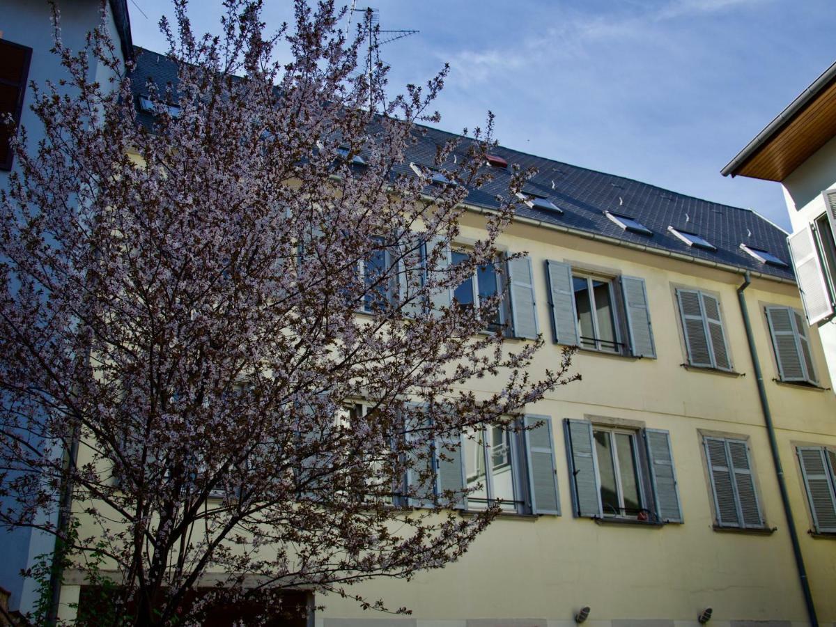 Appartement 3 Pieces, Krutenau, Parking Prive Strasbourg Exterior photo